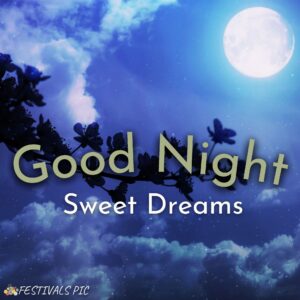 good night moon hd pictures download