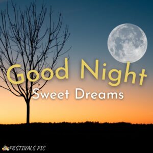 good night moon hd wallpaper download