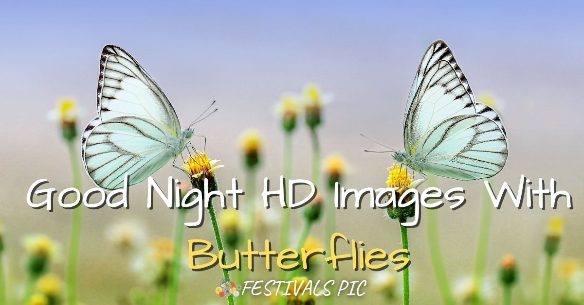 Good Night HD Images With Butterflies Download