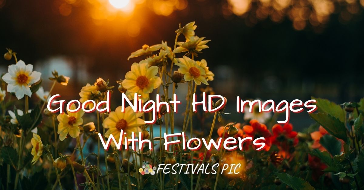 Good Night HD Images With Flowers Download