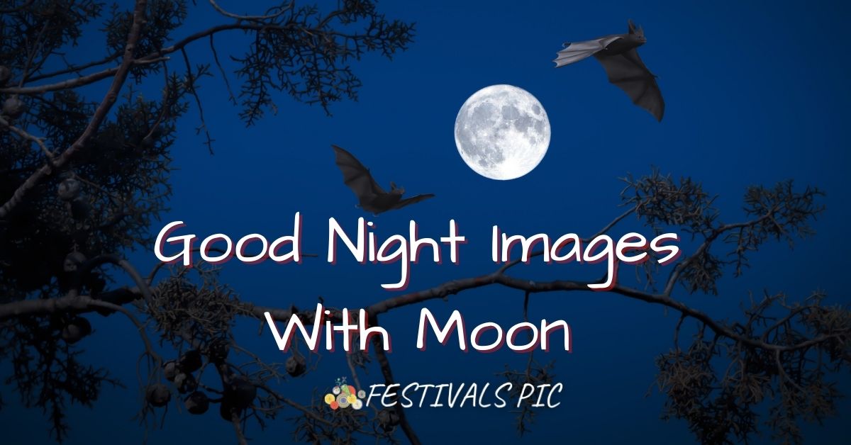Good Night HD Images With Moon Download