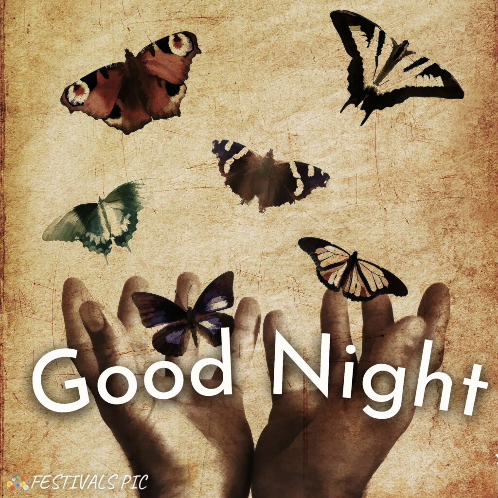 Good Night HD Images With Butterflies Download