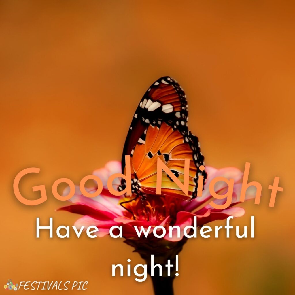 Good Night HD Photos With Butterflies Download